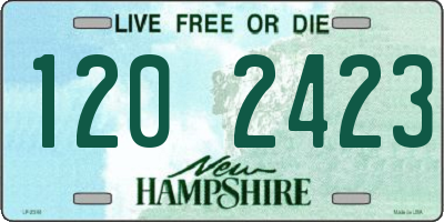 NH license plate 1202423