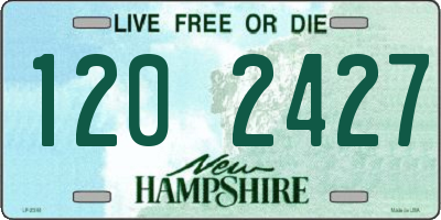 NH license plate 1202427