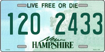 NH license plate 1202433