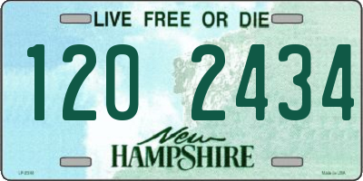 NH license plate 1202434