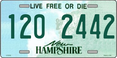 NH license plate 1202442