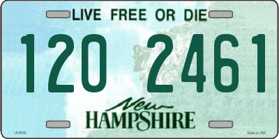 NH license plate 1202461
