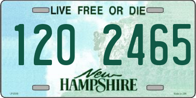 NH license plate 1202465