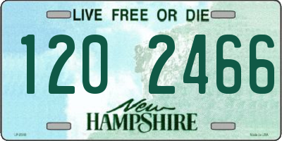 NH license plate 1202466