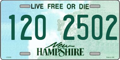 NH license plate 1202502