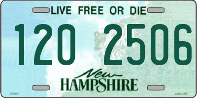 NH license plate 1202506