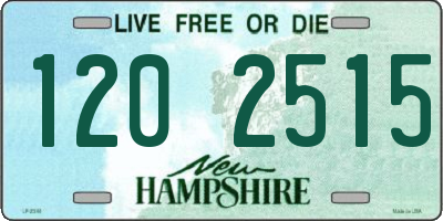 NH license plate 1202515