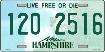 NH license plate 1202516