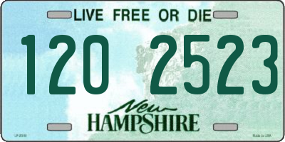 NH license plate 1202523