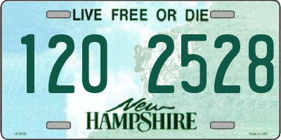 NH license plate 1202528