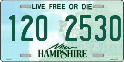 NH license plate 1202530