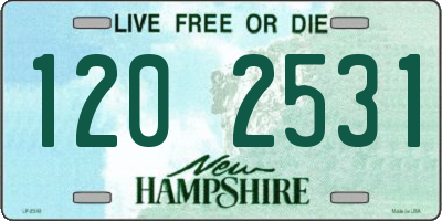NH license plate 1202531