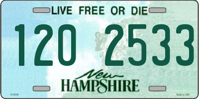 NH license plate 1202533