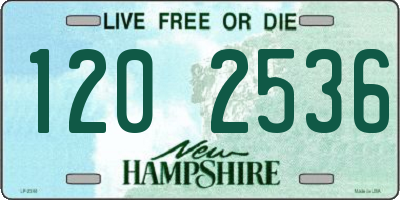 NH license plate 1202536