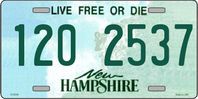 NH license plate 1202537