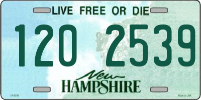 NH license plate 1202539
