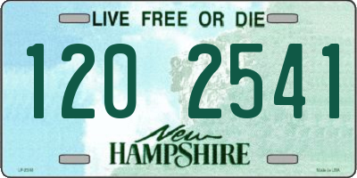 NH license plate 1202541