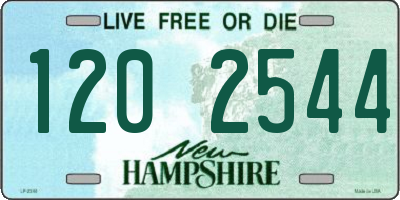 NH license plate 1202544