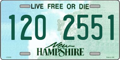 NH license plate 1202551