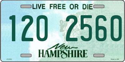 NH license plate 1202560