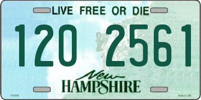 NH license plate 1202561