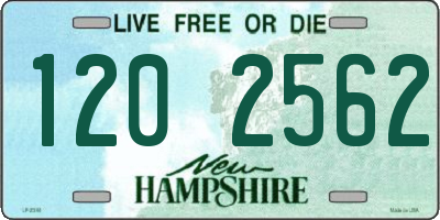 NH license plate 1202562