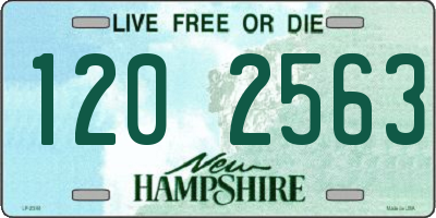 NH license plate 1202563