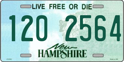 NH license plate 1202564