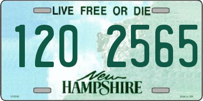 NH license plate 1202565