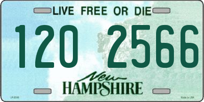 NH license plate 1202566