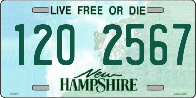 NH license plate 1202567