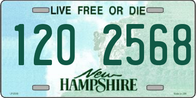 NH license plate 1202568