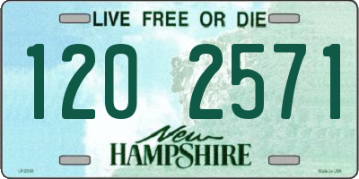 NH license plate 1202571