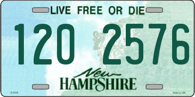 NH license plate 1202576