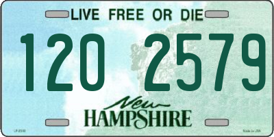 NH license plate 1202579
