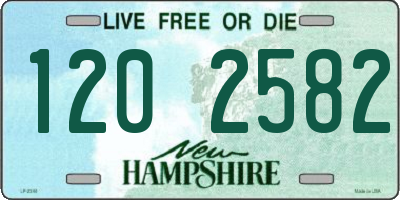 NH license plate 1202582