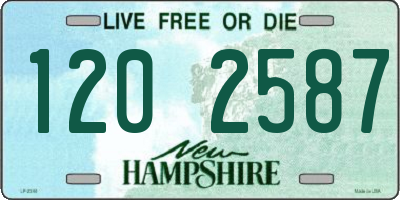 NH license plate 1202587