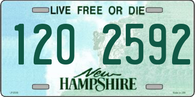 NH license plate 1202592