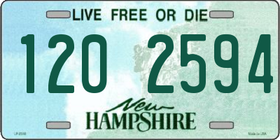 NH license plate 1202594