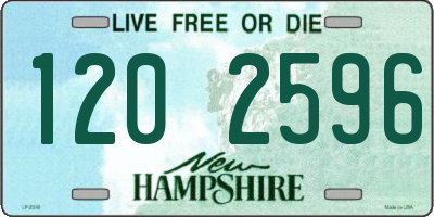 NH license plate 1202596