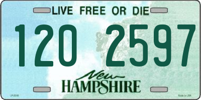 NH license plate 1202597