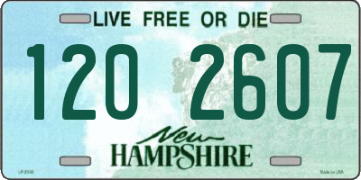 NH license plate 1202607
