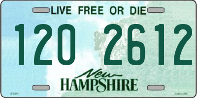 NH license plate 1202612