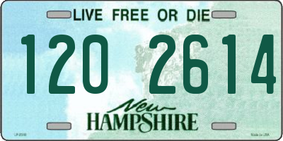 NH license plate 1202614
