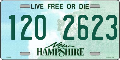 NH license plate 1202623