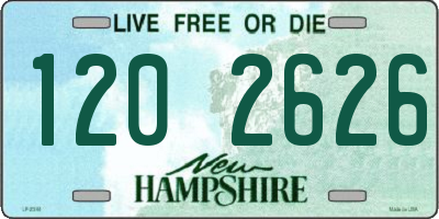 NH license plate 1202626