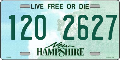 NH license plate 1202627