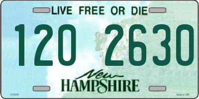 NH license plate 1202630