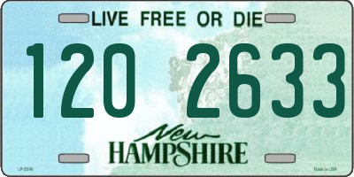NH license plate 1202633