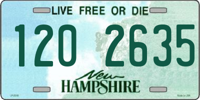 NH license plate 1202635